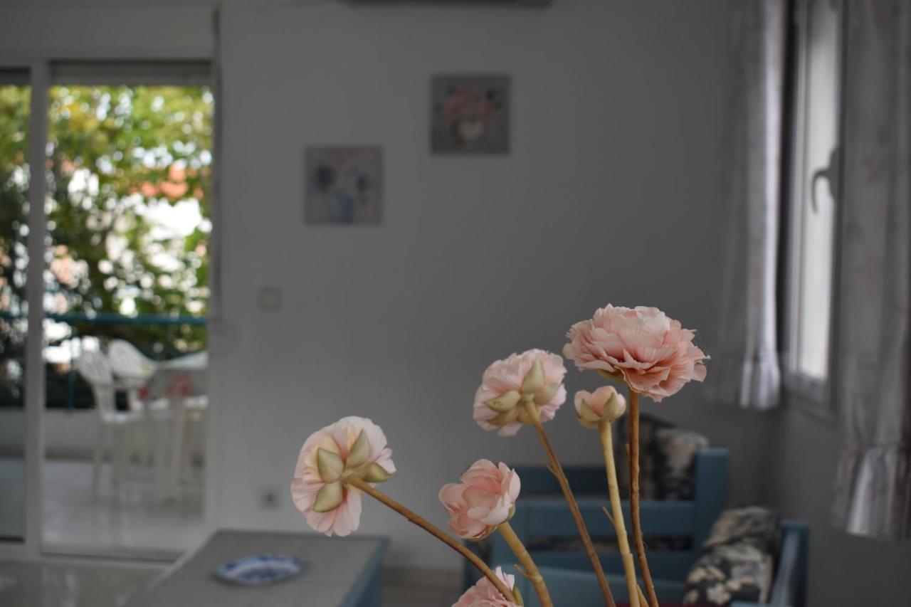 Niki Apartments Polychrono Ngoại thất bức ảnh