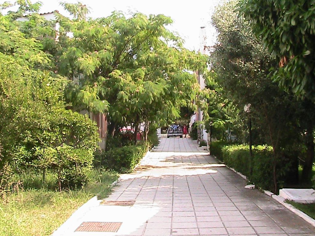 Niki Apartments Polychrono Ngoại thất bức ảnh